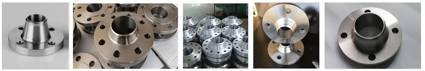 Titanium WN Flanges