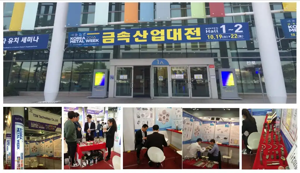  Company Exhibition
